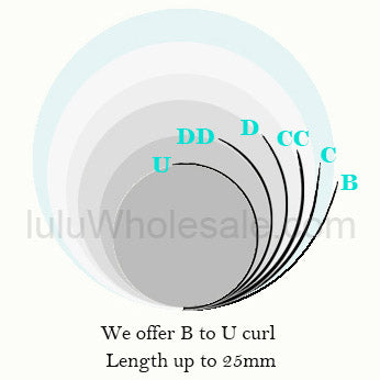 Cashmere PRO Extra Matte Dark Black Lashes【0.07mm 16-lines】【Best Quality Ever】